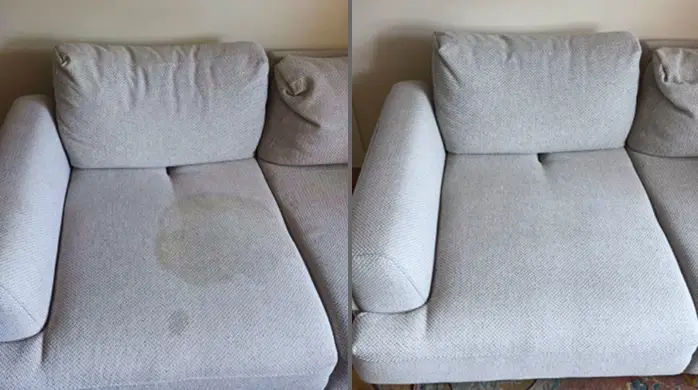 Before and after couch cleaning showing dog urine stain removal from upholstery