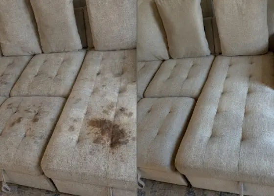 Deep sanitizing of upholstery removing bacteria and buildup in a Charlotte home