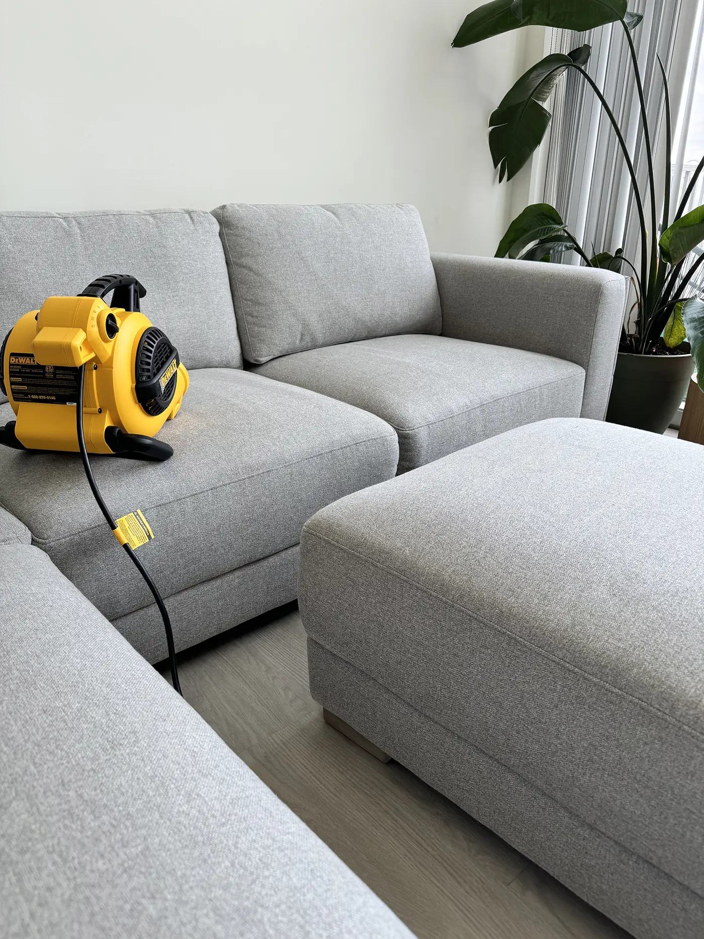 How Often Should You Clean Your Couch?