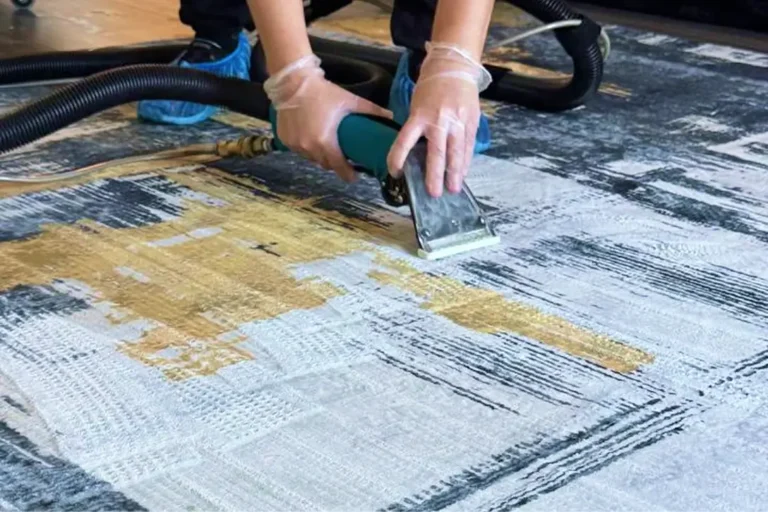 Professional rug cleaning service in Charlotte NC using deep extraction to remove stains and dirt