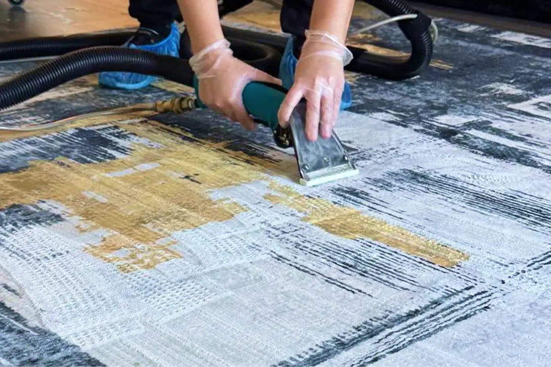 Professional rug cleaning service in Charlotte NC using deep extraction to remove stains and dirt