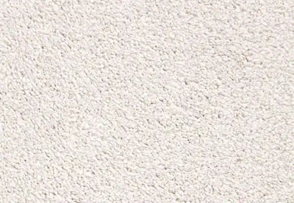 Wall to wall carpet cleaning service for deep dirt and stain removal
