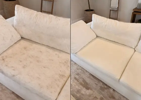 Allergen reduction through professional upholstery cleaning before and after