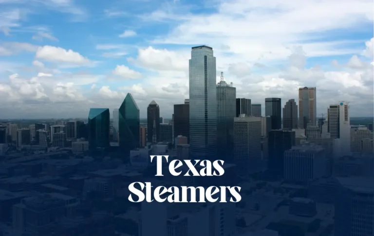 Dallas TX skyline representing Texas Steamers Couch Cleaning and professional upholstery cleaning services in Dallas homes