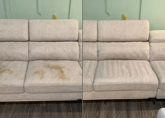 Deep fabric refresh of upholstered couch after professional cleaning