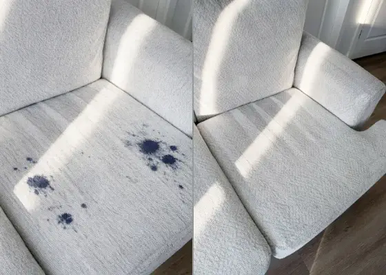Deep odor elimination from upholstery with visible stain removal results