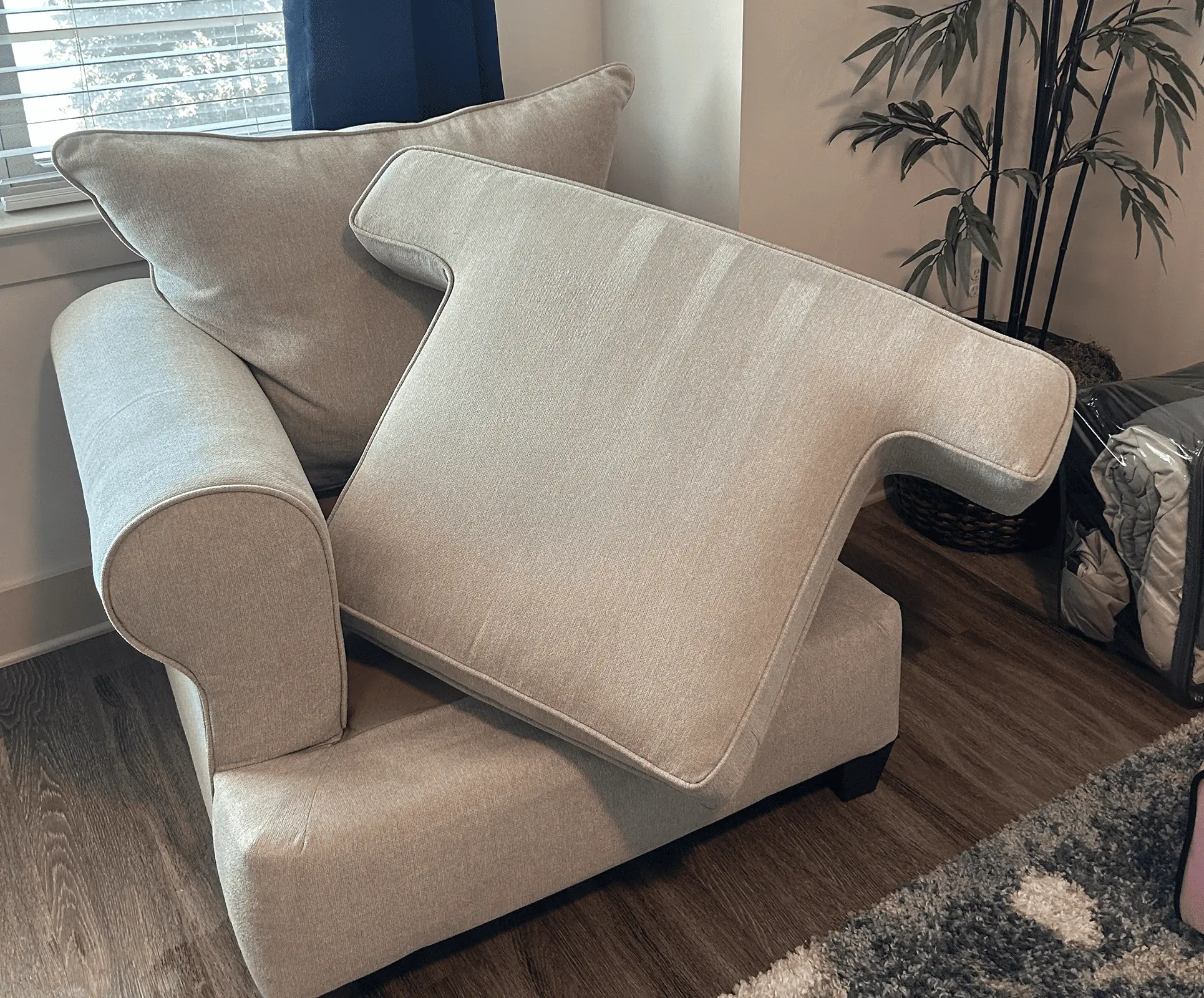 Upholstery Cleaning Tips for Homes With Indoor Pets in Dallas, TX